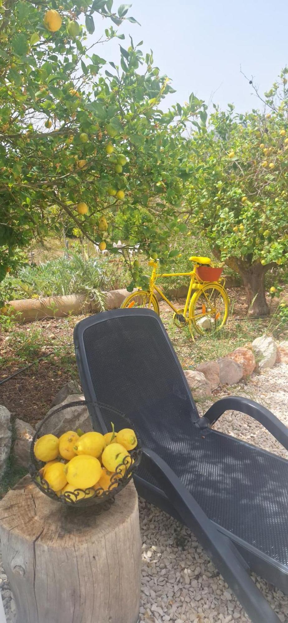 Finca Barahona Casa Barahona Casa Bahoruco, Casa Bohechio Altea Pokój zdjęcie